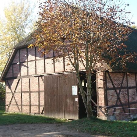Reiterhof Gross Stubben Apartment Poseritz Luaran gambar