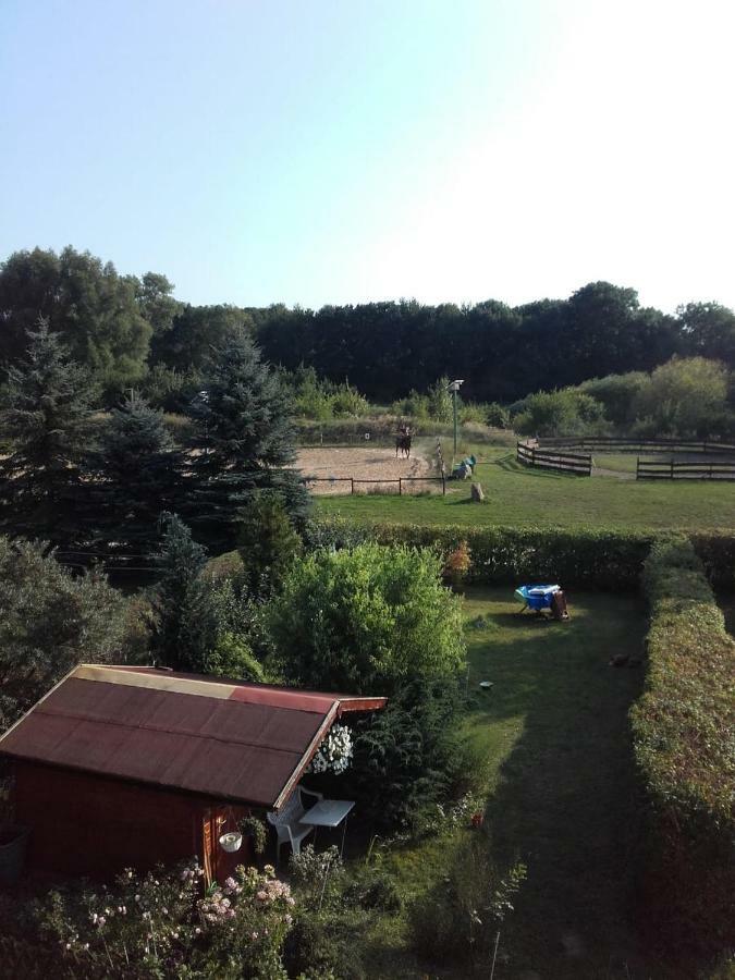 Reiterhof Gross Stubben Apartment Poseritz Luaran gambar