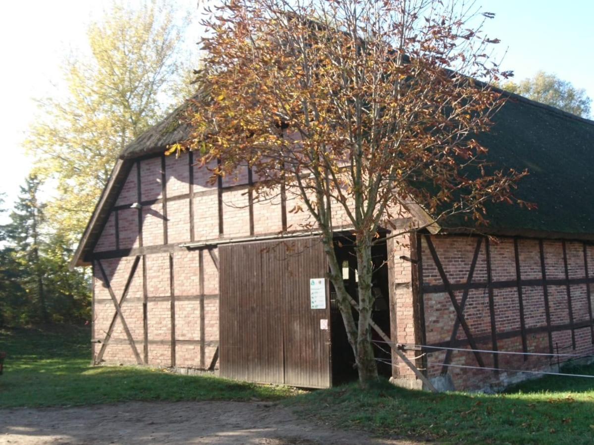 Reiterhof Gross Stubben Apartment Poseritz Luaran gambar